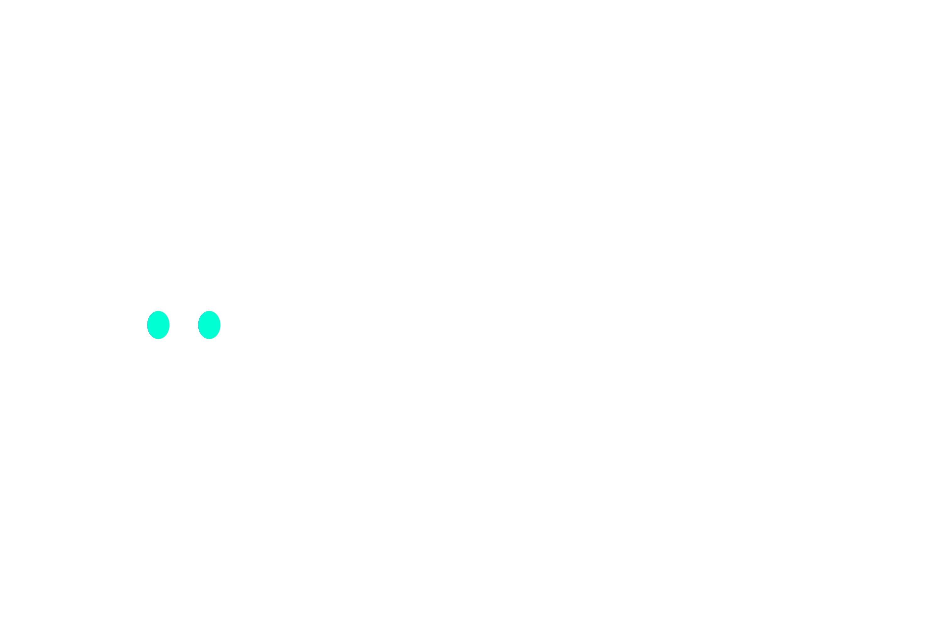 RelyPros.com Logo